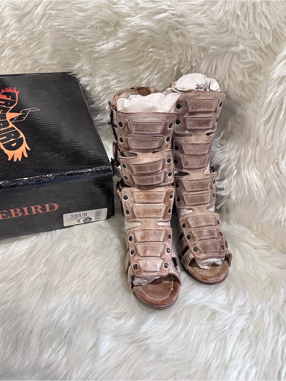 Freebird Zeus Taupe Multi Open-Toe Gladiator Boot